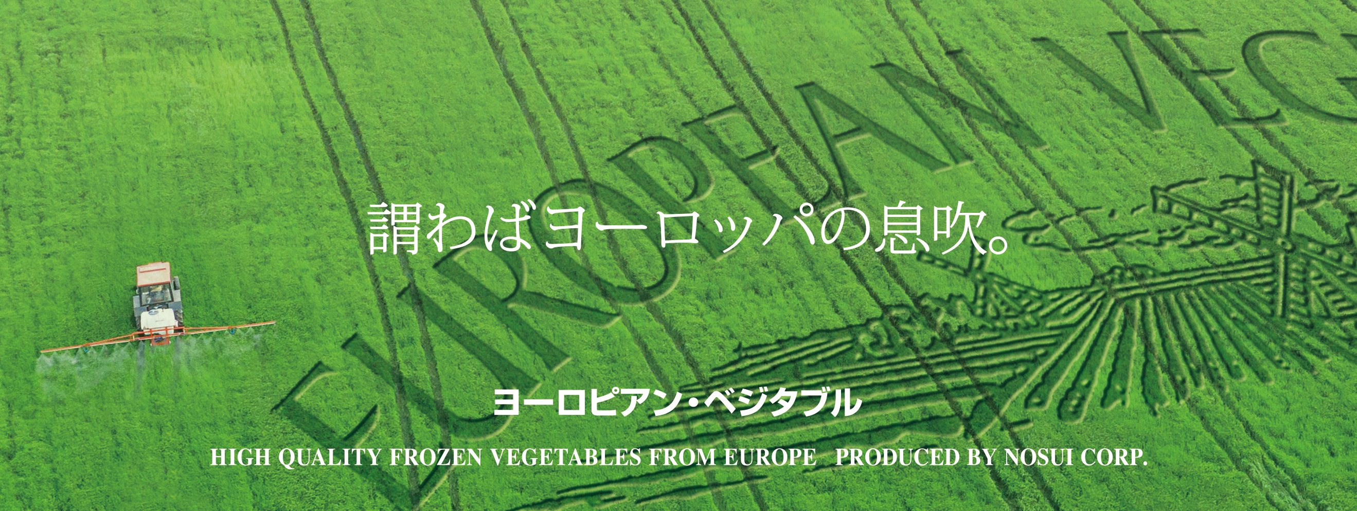 ヨーロピアンベジタブル