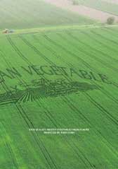 2025年版 European Vegetable