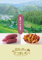 高原で育てた さつまいもたち