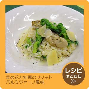 菜の花と牡蠣のリゾット パルミジャーノ風味
